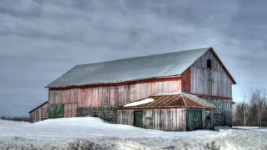 Bitcoin leidet unter stabilen Zinsen der US-Notenbank