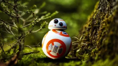 Feiertags-Poker: 20 BBs für verlorene Sets bei Full House Crypto