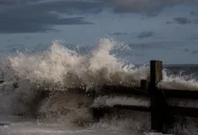 Absturz des NIGHT-Tokens: Was der Start des Mainnets bedeutet