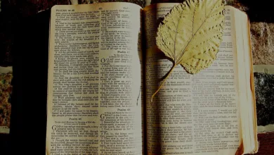 Kryptowährungen im Testament: Risiken und Lösungen für Erben