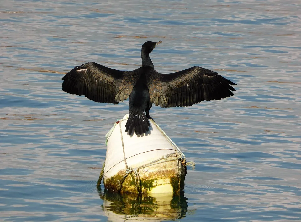 XRP im Abwärtstrend: ETFs zeigen stabile Anlegernachfrage