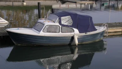 Stabilität und Überschuss: SHNDUSD im Fokus der Krypto-Szene