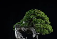 Ethereum plant mit Glamsterdam und Hegota wichtige Upgrades