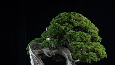 Ethereum plant mit Glamsterdam und Hegota wichtige Upgrades