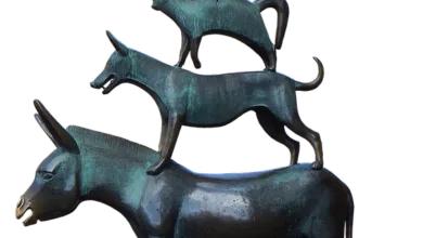 Bitcoin-Kurs bleibt im Fokus: 13-Prozent-Hürde bremst Käufer