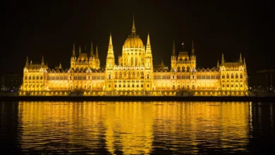 Prominente Krypto-Token: Hype oder langfristiger Wert?