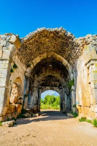 BIPUSD Stabilität trotz Marktvolatilität: Ein Überblick