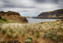 Bank of America öffnet Türen für Bitcoin-ETFs ab 2025