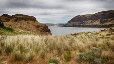 Bank of America öffnet Türen für Bitcoin-ETFs ab 2025