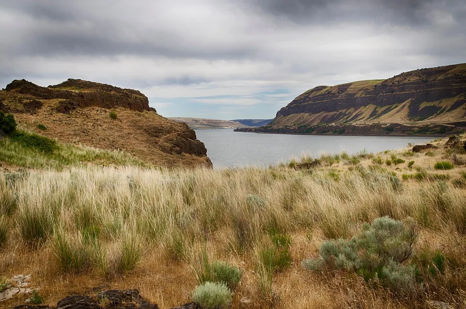 Bank of America öffnet Türen für Bitcoin-ETFs ab 2025