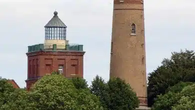 Warnsignale von Peter Brandt: XRP und Bitcoin in Gefahr