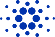 NIGHT-Token erreicht Höchststand: Chance für Anleger?
