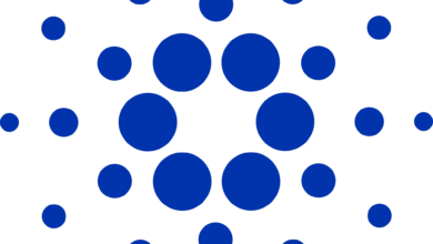 NIGHT-Token erreicht Höchststand: Chance für Anleger?