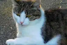 Ethereum-Kurs: Wo liegt der nächste Tiefpunkt für ETH?