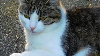 Ethereum-Kurs: Wo liegt der nächste Tiefpunkt für ETH?