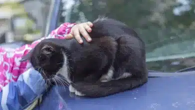 Bitcoin unterbewertet: Ist jetzt der perfekte Kaufzeitpunkt?