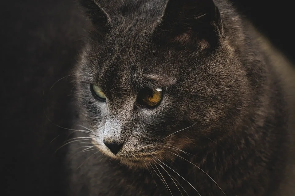 Ethereum-Fortschritte im Krypto-Markt: Ein Blick auf die Lage