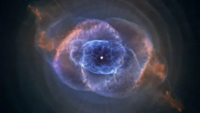 Strategy-Chef: Bitcoin-Verkauf nur im äußersten Notfall