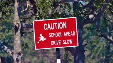 Kryptowährung und Politik: Wer bringt den Bitcoin voran?