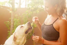 Yuga Labs stärkt NFTs mit neuer Gaming-Technologie