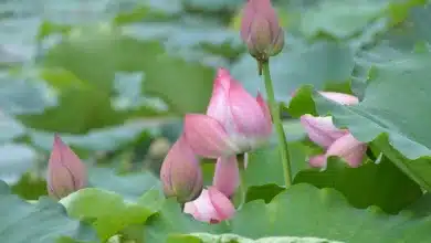 JPMorgan Chase: Investoren erwarten wachsende Herausforderungen