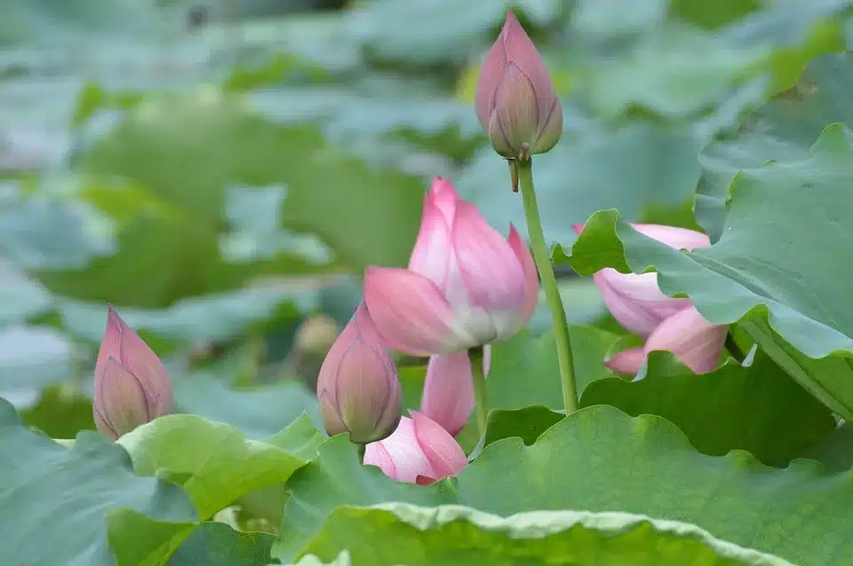 JPMorgan Chase: Investoren erwarten wachsende Herausforderungen