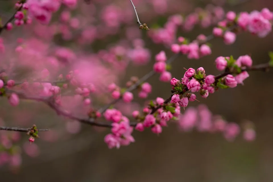 Standard Chartered senkt Bitcoin-Prognosen für 2025 deutlich