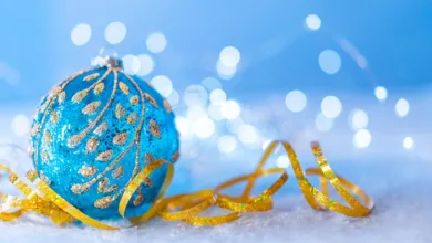 Bitcoin-Kurs unter Druck: Stabilität vor Weihnachten 2025?