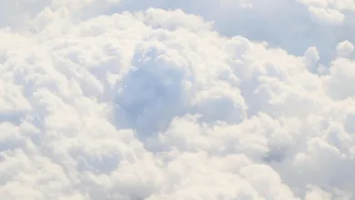 Evernorth: Über 200 Mio. USD Verlust bei XRP-Investitionen