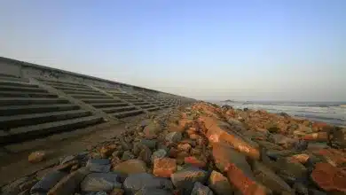 Kryptowährungen im Fokus: DeepSnitch AI könnte Chancen bieten