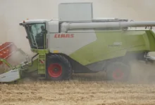 Stabile Erträge im Kryptowährungsmarkt mit CryptoEasily