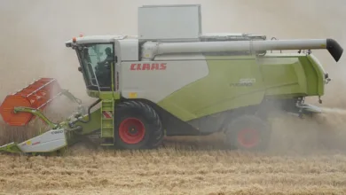 Stabile Erträge im Kryptowährungsmarkt mit CryptoEasily