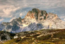 Krypto-Bärenmarkt: Drei Widerstandsfähige Coins für Anleger