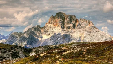 Krypto-Bärenmarkt: Drei Widerstandsfähige Coins für Anleger