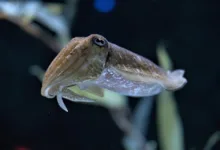 Kraken und Deutsche Börse: Innovative Partnerschaft für Finanzmärkte