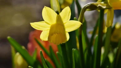 MobiFi USD: Stagnation oder Vorbote zukünftiger Bewegungen?