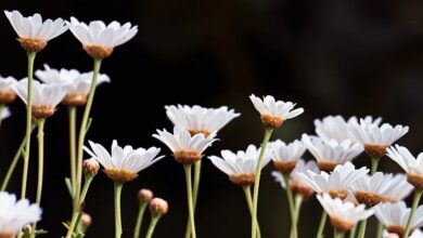 Sberbank plant Krypto-gestützte Kredite in Russland