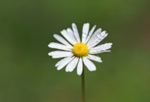 Bitcoin und die CLARITY Act: Chancen und Risiken für Investoren