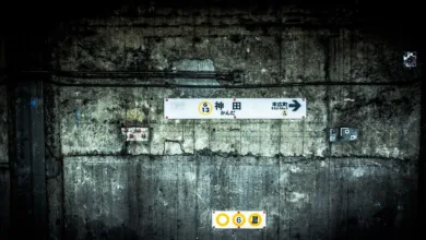 Kapitalzufluss in Bitcoin-Fonds: Zeichen der Erholung?