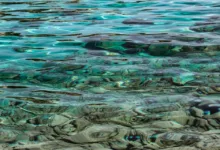 Ripple schwächelt: Mutuum Finance als neue Investitionschance