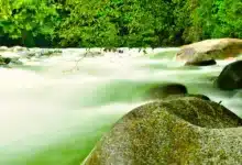 Binance erhält ISO/IEC 42001 für verantwortungsbewusste KI-Nutzung