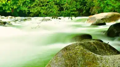 Binance erhält ISO/IEC 42001 für verantwortungsbewusste KI-Nutzung