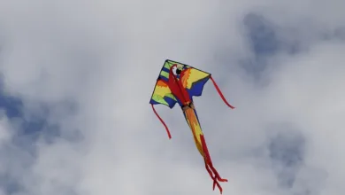 Mantle-Kurs unter Druck: Institutionelle Gewinnmitnahmen steigern Volatilität