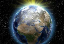 World Liberty Financial plant Anreize für USD1-Nutzung