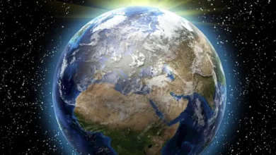 World Liberty Financial plant Anreize für USD1-Nutzung