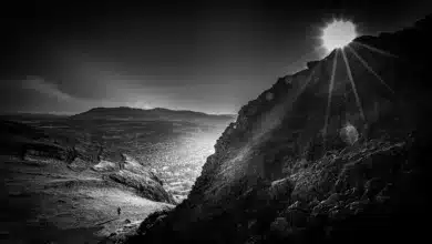 Arthur Hayes ETH-Transfer: Folgen für lokale Unternehmen