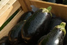 US-Notenbank: Zinssenkungen zur Stabilität der Märkte nötig