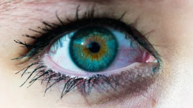 Stabilität von HyperCash USD: Ein Blick auf den Markt