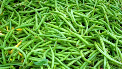 Kryptowährungen im Sinkflug: Ein Markt im Wandel