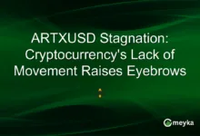 ARTXUSD: Stagnation und die Zukunft der Kryptowährung